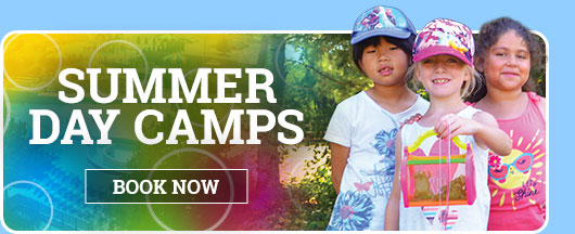 Summer Day Camps