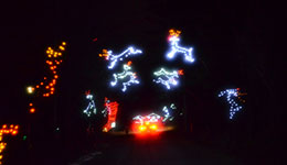 Gallery image #