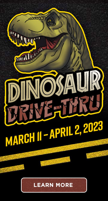 Dino Drive Thru- 2023