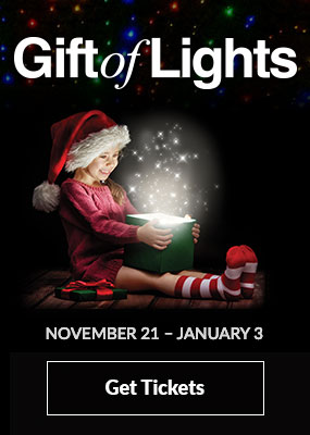 Gift of Lights 2025/2026