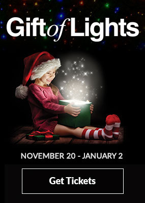 Gift of Lights